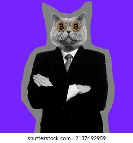 Abstract modern collage. The man with the head of funny cat businessman standing with arms folded with bitcoin eyes isolated on yellow background