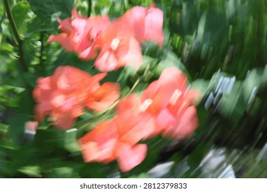 Abstract motion blur background of red flowers and green leaves, intentional camera movement panning effect creating a dynamic natural texture.