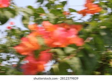 Abstract motion blur background of red flowers and green leaves, intentional camera movement panning effect creating a dynamic natural texture.