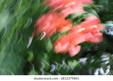 Abstract motion blur background of red flowers and green leaves, intentional camera movement panning effect creating a dynamic natural texture.