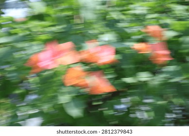 Abstract motion blur background of red flowers and green leaves, intentional camera movement panning effect creating a dynamic natural texture.