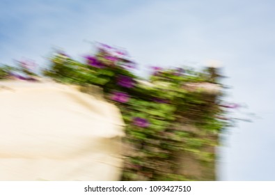Abstract motion blur effect. Spring blurred flowers.