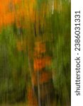 abstract motion blur of fall colorful leaves on tree intentionally blurred by slow shutter speed  intentional camera movement up and down movement creating falling motion orange  green autumn foliage 