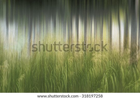 Image, Stock Photo Harmonious landscape panorama with an expansive meadow of golden yellow wild grasses and a green mixed forest in the background (Germany, midsummer)