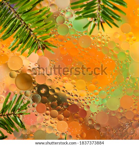 abstract multi-colored background for Christmas with Christmas tree branches