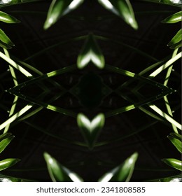 Abstract natural geometric background with repeating patterns. Sun spots on dark green leaves of tropical plant. Concept: rainforest protection, ecology. Square. Selective focus
