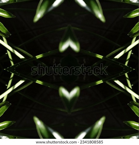 Abstract natural geometric background with repeating patterns. Sun spots on dark green leaves of tropical plant. Concept: rainforest protection, ecology. Square. Selective focus
