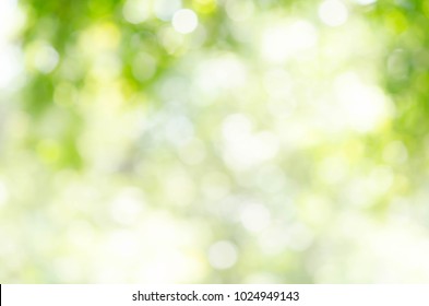 Abstract natural green bokeh background - Shutterstock ID 1024949143