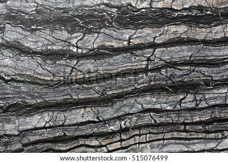 Similar – burnt tree bark after a forest fire