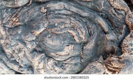 Abstract natural pattern on an old aged wood root surface, unique gritty background for design resource.