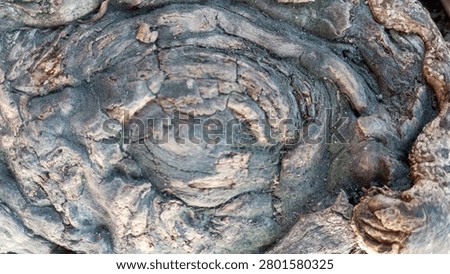 Abstract natural pattern on an old aged wood root surface, unique gritty background for design resource.