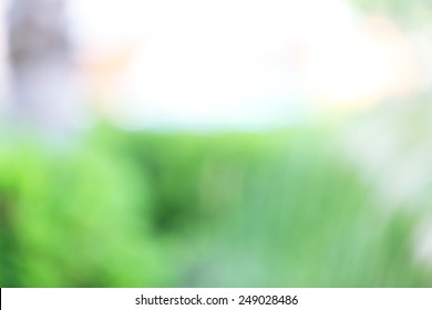 Abstract Nature Background