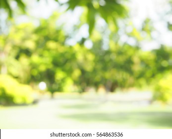 Blur Park Garden Tree Nature Background Stock Photo 613016489 ...