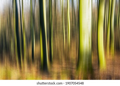 Abstract Nature Background With Blurry Trunks Of Forest Tress In Autmn