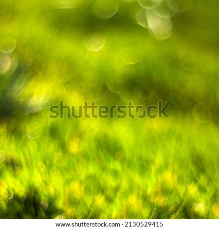 Abstract Nature Background - fresh green grass. Soft Focus.