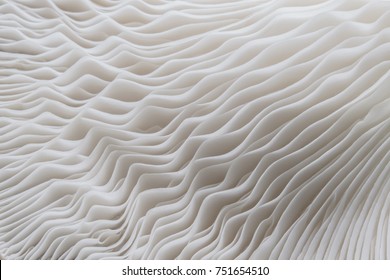 abstract nature background macro of Sajor-caju Mushroom plants. Using idea design texture pattern concept natural or wallpaper. - Shutterstock ID 751654510