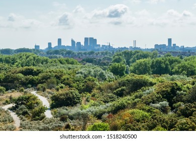 Abstract Nature Background With View Of Skyline Of The Hague Across Dune Park Close To North Sea In Summer Day In The Netherlands. 