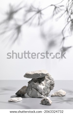 Similar – Image, Stock Photo Pine branches in front of the view of the depths, valley in the foothills of the Pyrenees