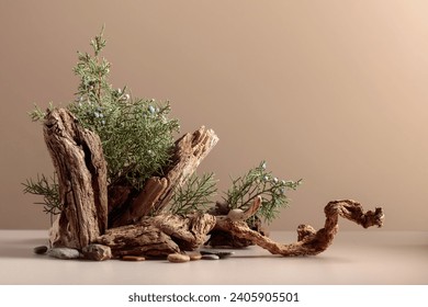 Abstract nature scene with a composition of juniper and dry snags. Neutral beige background for cosmetic, beauty product branding, identity, and packaging. Natural pastel colors. Copy space. - Powered by Shutterstock