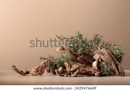 Abstract nature scene with a composition of juniper and dry snags. Neutral beige background for cosmetic, beauty product branding, identity, and packaging. Natural pastel colors. 