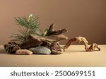 Abstract nature scene with a composition of pine branches, stones, and dry snags. Beige background for cosmetics, beauty product branding, identity, and packaging. Copy space.