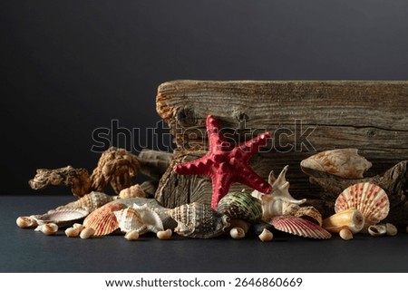 Abstract nature scene with a composition of seashell, starfish, and snags on a black background. Concept of sea, summer, and ecology. Copy space.