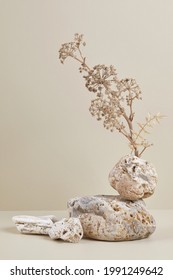 Abstract nature scene with composition of stones and dry branch. Neutral beige background for cosmetic, beauty product branding, identity and packaging. Natural pastel colors. Copy space, front view. - Shutterstock ID 1991249642