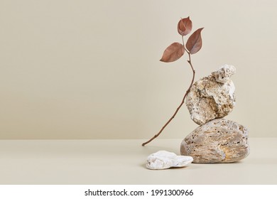 Abstract nature scene with composition of stones and dry branch. Neutral beige background for cosmetic, beauty product branding, identity and packaging. Natural pastel colors. Copy space, front view. - Shutterstock ID 1991300966