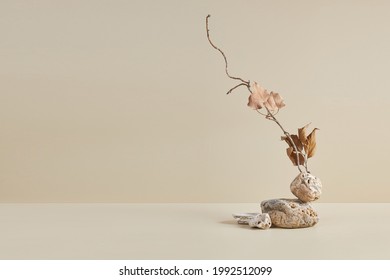 Abstract nature scene with composition of stones and dry branch. Neutral beige background for cosmetic, beauty product branding, identity and packaging. Natural pastel colors. Copy space, front view. - Shutterstock ID 1992512099