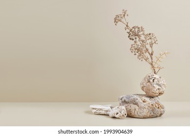 Abstract nature scene with composition of stones and dry branch. Neutral beige background for cosmetic, beauty product branding, identity and packaging. Natural pastel colors. Copy space, front view. - Shutterstock ID 1993904639