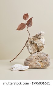 Abstract nature scene with composition of stones and dry branch. Neutral beige background for cosmetic, beauty product branding, identity and packaging. Natural pastel colors. Copy space, front view. - Shutterstock ID 1995001661