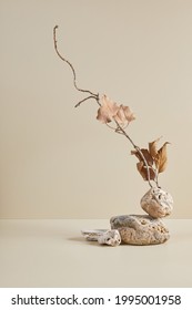 Abstract nature scene with composition of stones and dry branch. Neutral beige background for cosmetic, beauty product branding, identity and packaging. Natural pastel colors. Copy space, front view. - Shutterstock ID 1995001958