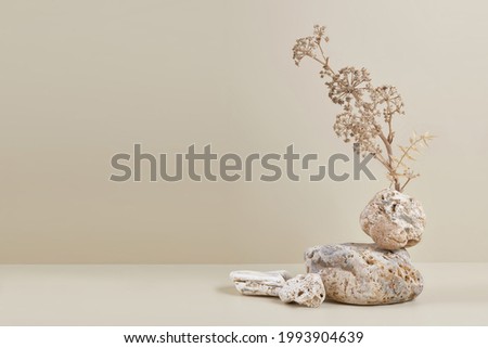 Abstract nature scene with composition of stones and dry branch. Neutral beige background for cosmetic, beauty product branding, identity and packaging. Natural pastel colors. Copy space, front view. Stockfoto © 