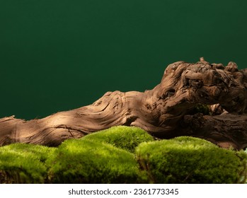 Abstract nature scene, tree trunk in forest concept, for cosmetic, beauty product branding, identity, and packaging