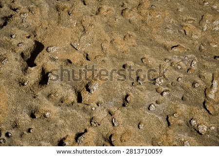 Abstract natures stone surface textures of shale rough uneven of colouful layered background. Beige beach stone 
