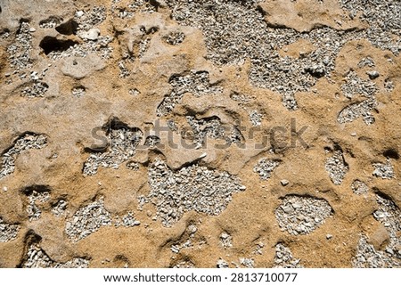Abstract natures stone surface textures of shale rough uneven of colouful layered background. Beige beach stone 