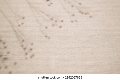 Abstract neutral background. Shadow from plants (flax sprigs) on beige fabric. Top view, free space for text. Shadow for natural light effects.