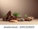 Abstract north nature scene with a composition of lichen, pine branches, and dry snags. Place your product on a cork podium. Copy space.