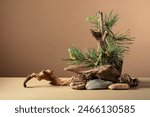 Abstract north nature scene with a composition of pine branches, stones, and dry snags. Beige background for cosmetics, beauty product branding, identity, and packaging. Copy space.