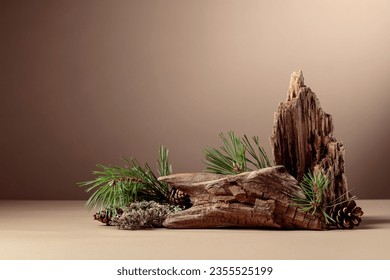 Abstract north nature scene with a composition of lichen, pine branches, and dry snags. Beige background for cosmetics, beauty product branding, identity, and packaging. Copy space.