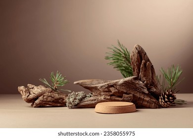 Abstract north nature scene with a composition of lichen, pine branches, and dry snags. Place your product on a cork podium. Copy space. - Powered by Shutterstock