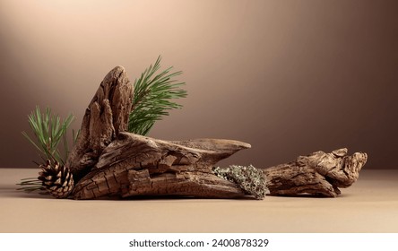 Abstract north nature scene with a composition of lichen, pine branches, and dry snags. Beige background for cosmetics, beauty product branding, identity, and packaging. Copy space. - Powered by Shutterstock