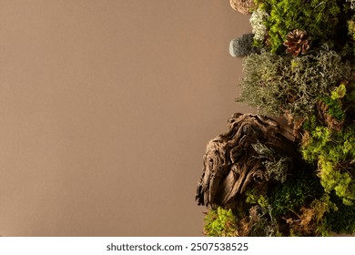 Abstract north nature scene with a composition of lichen, moss, and old snags on a beige background. Top view. Copy space. - Powered by Shutterstock