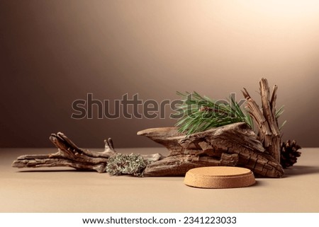 Abstract north nature scene with a composition of lichen, pine branches, and dry snags. Place your product on a cork podium. Copy space.