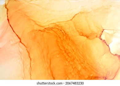 Abstract Ocher Ink Watercolor Background. Yellow Orange Brown Paint Stains And Spots In Water, Luxury Fluid Liquid Art Wallpaper