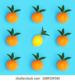 Abstract orange and lemon citrus fruit odd one out design concept with leaf sprigs, high in antioxidants and vitamin c for immune system boost on blue background.   