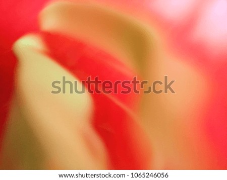 Similar – Tulpe Blüte Blume rot rosa