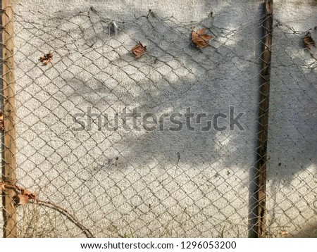 Similar – Image, Stock Photo Wall, fence and time