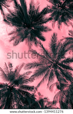 Abstract pattern coconut palm tree leaf background. Art nature pattern background or tropical summer beach holiday vacation traveling, save the earth concept.