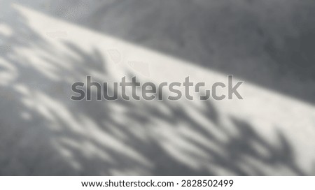 Abstract pattern created by the dappled shadows of foliage on a rough, textured surface illuminated by natural sunlight.